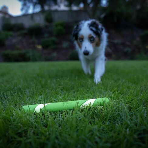 Chuckit! Interactive Dog Toy Ultra Fetch Stick - 12 Inch Outdoor Dog Toy for All Breed Sizes in Kuwait