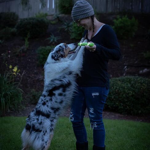 Chuckit! Interactive Dog Toy Ultra Fetch Stick - 12 Inch Outdoor Dog Toy for All Breed Sizes in Kuwait