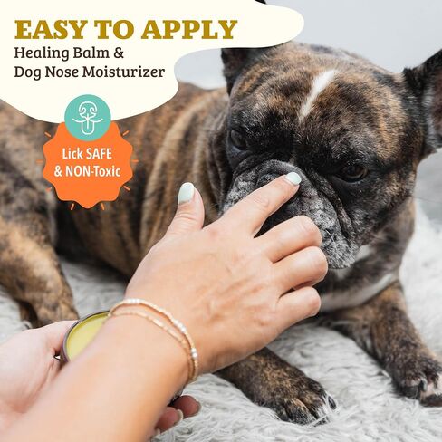 شركة Natural Dog Company Snout Balm (1 أوقية) للأنوف الجافة والمتصدعات ، كلها طبيعية ، تلعق ، بلسم الأنف المهدئ مع الزبدة المرطبة ، كلاب حماية الأنف الشتوية in Kuwait