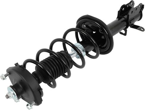 Rear Complete Struts Assembly Shock Absorbers w/Coil Spring Fits 1999-2003 for Mazda Protege Replace 171588 171589 (Set of 2) in Saudi Arabia