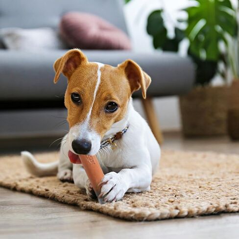 Cigarettes & Cigar Squeaky Dog Toys Set, 3 Pcs Latex Interactive Funny Weed Cigar Imitation Dog Chew Toys for Teething Puppy, Small and Medium Breeds in Saudi Arabia