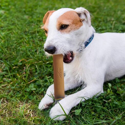 Cigarettes & Cigar Squeaky Dog Toys Set, 3 Pcs Latex Interactive Funny Weed Cigar Imitation Dog Chew Toys for Teething Puppy, Small and Medium Breeds in Saudi Arabia