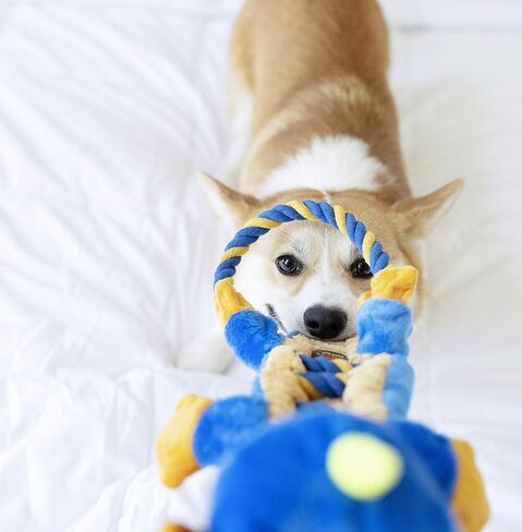 Charming Pet Ranch Roperz Cow Plush Squeaky Dog Toy in Kuwait