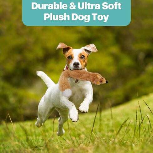 SPOT Skinneeez Stuffless Dog Toy with Squeaker | Plush Tug of War Skunk Squeak Toy for Small and Large Dog Breeds | Machine Washable | Large in Saudi Arabia