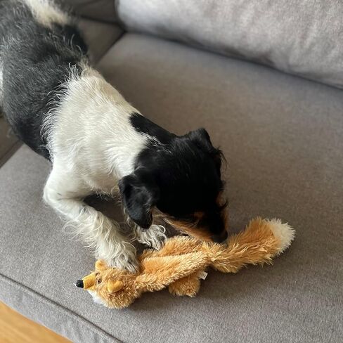 SPOT Skinneeez Stuffless Dog Toy with Squeaker | Plush Tug of War Skunk Squeak Toy for Small and Large Dog Breeds | Machine Washable | Large in Saudi Arabia