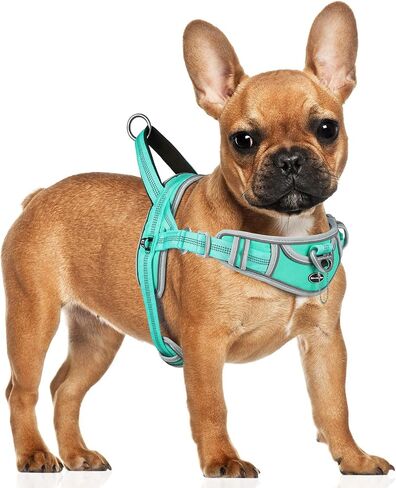 ADVENTUREMORE Dog Harness for Large Dogs No Pull, Sport Dog Halter Harness Reflective Breathable Dog Vest Escape Proof Dog Harness with Easy Control Front Clip Handle for Training Walking L-Blue in Saudi Arabia
