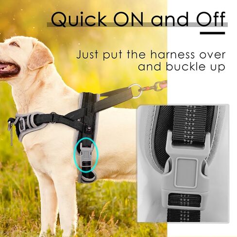 Adventuremore Dog Harness للكلاب الكبيرة No Prow ، Sport Dog Halter Harness عكس تنفس السترة الهروب الهروب من الكلاب in Saudi Arabia