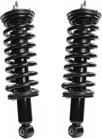 Detroit Axle - RWD Front Struts for 2005-2021 Nissan Frontier ، 2006 2007 2008 2008 2010 2011 2012 2013 2014 2015 2017 2018 2019 2020 Complete 2 Struts with Coil Spring Struts Shocks in Saudi Arabia