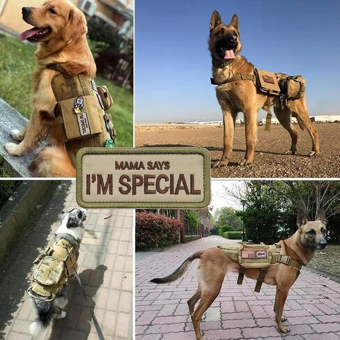 2 PCS Dog Patches ، يقول أبي إنني شارة مطرزة بالتصحيح التكتيكي الخاص ، خطاف التثبيت المطرز ، شعار حلقة ، بقع مضحكة لحقائب الظهر ، تسخير الكلاب ، سترات حيوانات الخدمة ، العتاد التكتيكي in Kuwait
