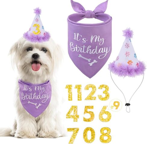 BINGPET Dog Birthday Party Supplies,Dog Birthday Hat Bandana Set,Soft Birthday Boy Triangle Scarf and Number Hat, Cute Birthday Party Supplies with 0-8 Figures for Small Medium Large Dogs Pets in Saudi Arabia