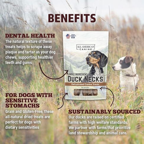 Natural Duck Neck Dog Treats – Single Ingredient, Dehydrated & Chewy – Low-Fat, High-Protein Training Reward – Made in USA – 12 Treats in Saudi Arabia
