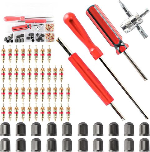 64PCS Tire Valve Stem Removal Tool, Spool Removal and Installation Tool, 4-Way Valve Stem Core Tool, Dual and Single Heads Valve Core Remover Installer Tools for Various Valve Cores in Saudi Arabia