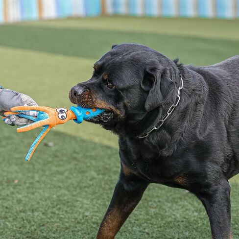 Squid Shaped Squeaky Dog Toys, Interactive tug of war and Teething Dog Toys, Safe TPR Material, Cute pet Toys for Dogs, Slinky Design for Fun Play(Blue) in Saudi Arabia