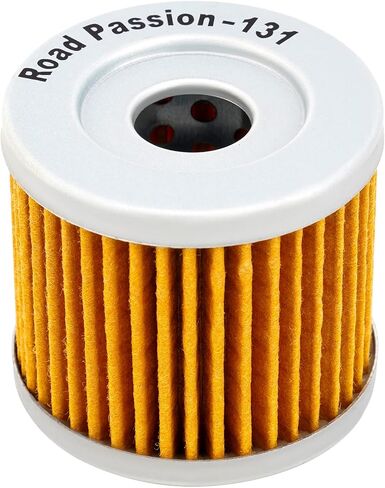 Road Passion 1651005240 High Performance Oil Filter for SUZUKI LT125 1983-1987 LT185 1984-1987 LTZ90 QUADSPORT 2007-2009 （1 pack） in Saudi Arabia