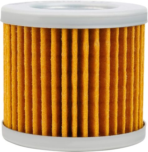 Road Passion 1651005240 High Performance Oil Filter for SUZUKI LT125 1983-1987 LT185 1984-1987 LTZ90 QUADSPORT 2007-2009 （1 pack） in Saudi Arabia
