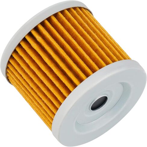 Road Passion 1651005240 High Performance Oil Filter for SUZUKI LT125 1983-1987 LT185 1984-1987 LTZ90 QUADSPORT 2007-2009 （1 pack） in Saudi Arabia