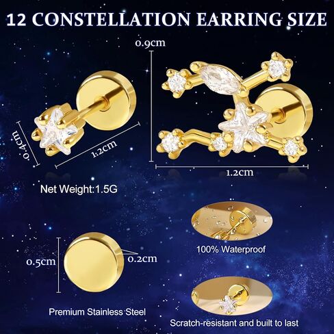 Zodiac Constellation Flat Back Stud Earrings – 14K Gold Plated Surgical Steel Studs with CZ, Dainty Screw Back Earrings for Women, Stainless Steel Flatback Stud Set Inspired Horoscope Jewelry Gifts in Kuwait