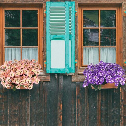 10 Bundles Artificial Pansy Flowers UV Resistant Plastic Plants for Outdoor, Faux Faux Flowers Silk Flower for Window Box Porch Home Garden Farmhouse Decor, Purple in Saudi Arabia