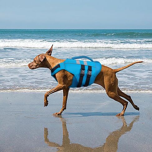 Kuoser Medium Dog Life Jacket, High Flotation Dog Life Vest for Swimming Boating, Reflective Dog Swimming Vest for Medium Dogs Pet Life Preserver with Rescue Handle, Rose M in Saudi Arabia