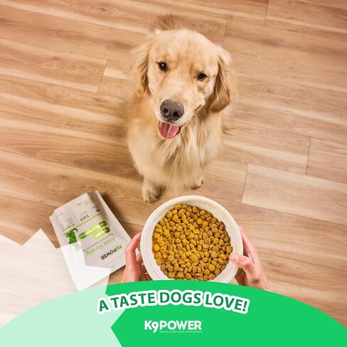 K9 Power Young at Heart Senior Dog Multivitamin 1 رطل - مكمل متقدم لكبار السن - يدعم الدماغ والقلب والرؤية وصحة المفاصل والتنقل in Saudi Arabia