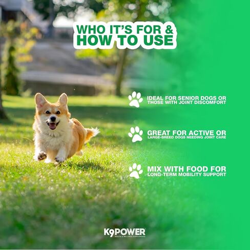 K9 Power Young at Heart Senior Dog Multivitamin 1 رطل - مكمل متقدم لكبار السن - يدعم الدماغ والقلب والرؤية وصحة المفاصل والتنقل in Saudi Arabia