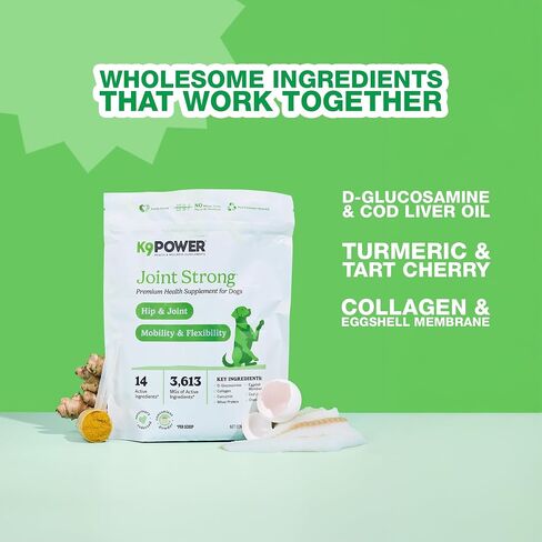 K9 Power Young at Heart Senior Dog Multivitamin 1 رطل - مكمل متقدم لكبار السن - يدعم الدماغ والقلب والرؤية وصحة المفاصل والتنقل in Saudi Arabia