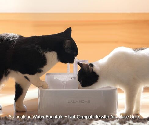 Dog Water Fountain Cat Automatic Water Bowel 3-Stage Design for Multi Pets Cat Water Dispenser for Drinking RealFountain with Isolating Dual Pump Filter Foam, BPA-free Easy Clean Quiet Indoor -2L/67oz in Saudi Arabia