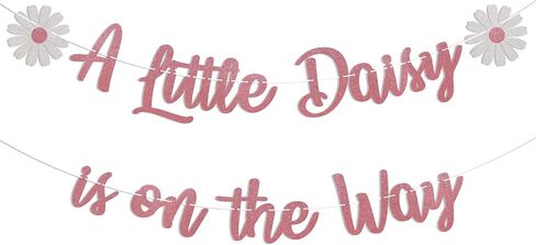 Daisy Baby Shower Decorations - A Little Daisy is on The Way Banner, Welcome Baby Girls Decor, Daisy Theme Baby Shower Gender Reveal Decor, Spring Wildflower Birthday Party Decorations Silver Glitter in Saudi Arabia