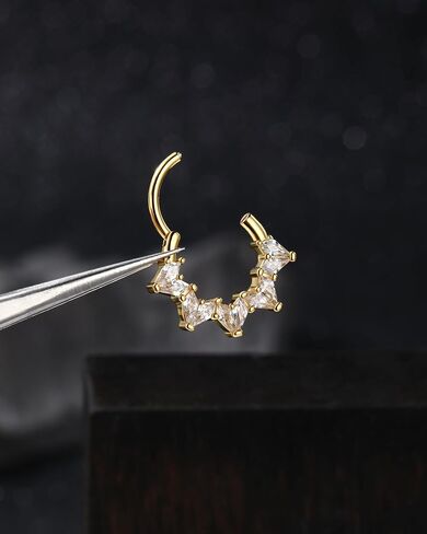 Jewseen 316L Surgical Steel Segment Segment Septum Rings 16G Septum Jewelry Daith Earrings Tragus Helix Jewelry for Women Men in Saudi Arabia