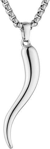 HZMAN Italian Horn Necklace for Men Women High Polished Stainless Steel Cornicello Pendant Protection Jewelry Gift in Saudi Arabia