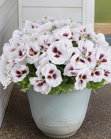 Fake Flowers for Outdoor, 12 Bundles Artificial Pansies Flowers for Outdoor Planters, Faux Plants with Extra Large Silk Flowers for Porch, Balcony Garden Patio Window Box Home Aesthetic (White) in Kuwait
