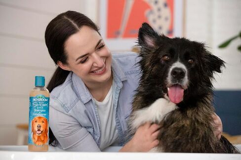 Bio-Groom So Easy 2 in 1 Shampoo & Conditioner- Dog & Puppy Shampoo and Conditioner Gallon, Detangling Dog Wash, Bulk Size for Grooming, Soap Free, 12:1 Concentration- Refreshing Fruit Scent, 1 Gallon in Saudi Arabia