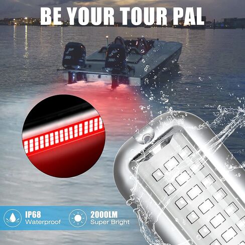 مصباح القارب LED البحري BASIKER BS3 (2x2000LM 60LED)، 10-36 فولت، 316 من الفولاذ المقاوم للصدأ، IP68، الهواء أو تحت الماء، حامل سطحي مصمم لسفن الرحلات البحرية واليخوت والقوارب والمراكب الشراعية والعائمة والعارضة (أحمر) in Kuwait