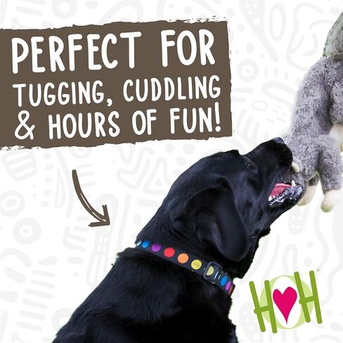 HuggleHounds Knottie Plush Dog Toy - Dog Stuffed Animal Toy, Puppy Toys, Squeaky Dog Toy for Small, Medium & Large Dogs, Durable Plush to Keep Them Busy - Reggie Racoon, Small in Saudi Arabia