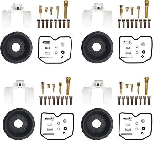 مناسب لعام 2006-2014 KAWASAKI KLX250S CARBURETOR REPAIR KIT DIAPHRAGM FLOAT in Saudi Arabia