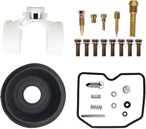 مناسب لعام 2006-2014 KAWASAKI KLX250S CARBURETOR REPAIR KIT DIAPHRAGM FLOAT in Saudi Arabia