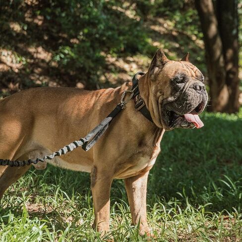 EXCELLENT ELITE SPANKER Tactical Dog Collar Military Adjustable Dog Collar Heavy Duty Dog Collar with Metal Buckle and Control Handle(Black) in Kuwait