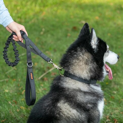 EXCELLENT ELITE SPANKER Tactical Dog Collar Military Adjustable Dog Collar Heavy Duty Dog Collar with Metal Buckle and Control Handle(Black) in Kuwait