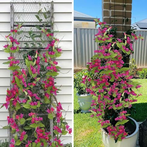Artificial Bougainvillea Flowers Garland Purple Silk Bougainvillea Vines UV Resistant Realistic Faux Hanging Flowers Plants for Outdoor Outside Summer Decoration Porch Patio Balcony Yard Wall in Kuwait