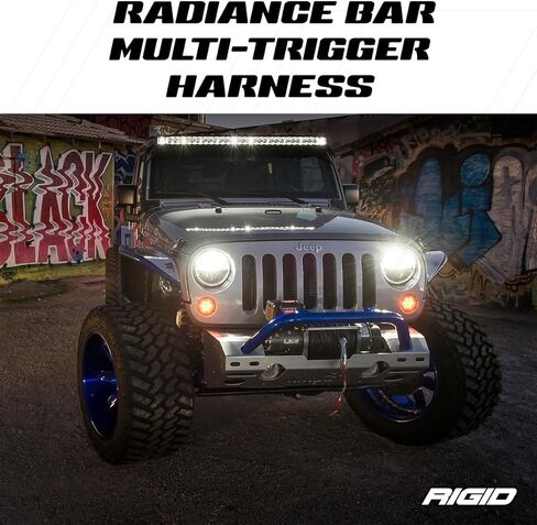 الصناعات الصلبة - تسخير Radiance Multi -Trigger (2 Switch Relay): تسخير الأسلاك ضوء LED in Saudi Arabia