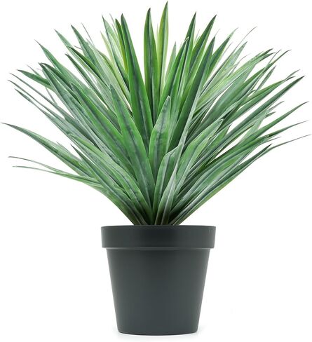 نبات فيلنر الاصطناعي في وعاء أسود مع الحصى الحجرية الحقيقية ، نبات الصبار المزيف الكبير للالتزام الداخلي والخارجي طوله 27 بوصات ، 126 ورقة in Kuwait