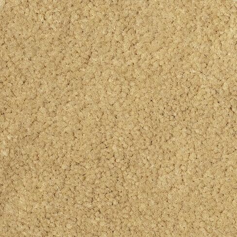 Ggbailey Beige Driver & Passenger Floor Mats مخصص لكزس LS 430 2001-2006 in Kuwait
