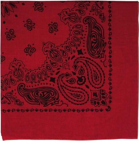 Red & Black Trainmen Paisley Bandana (22 "× 22") in Saudi Arabia