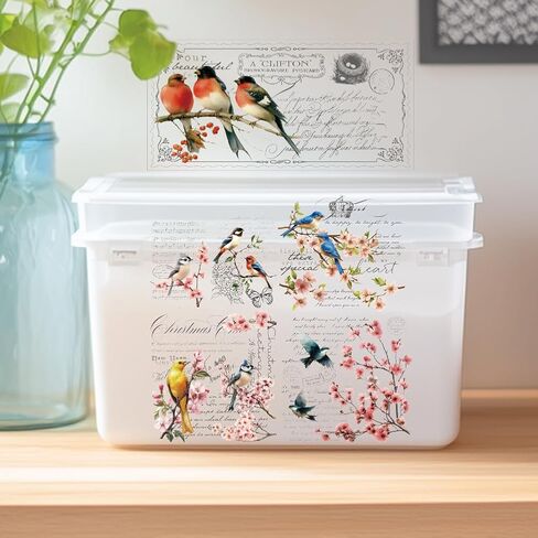 3 Sheet Flower Rub on Transfer Birds Flowers Furniture Sticker Vintage Furniture Decals for Home Office Paper Wood DIY Craft Classic Hummingbirds Floral Rub on Transfer Sticker 5.9''*11.8'' in Saudi Arabia
