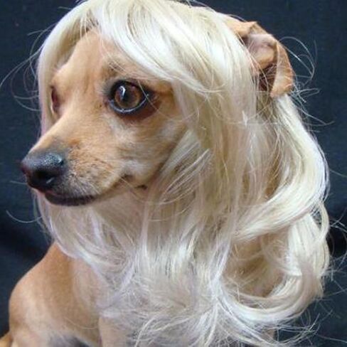 Tangpan Dog Wig Pet High Temperture Wire Wig Color Blue Short in Saudi Arabia