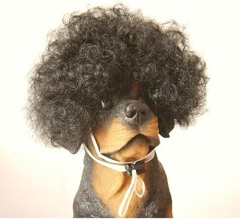 Tangpan Dog Wig Pet High Temperture Wire Wig Color Blue Short in Saudi Arabia