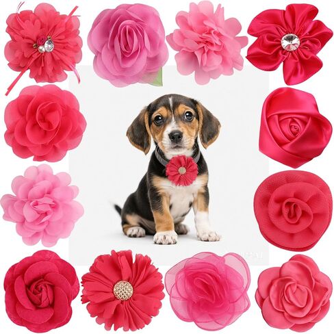 12 PCS Purple Dog Flowers Flowers Cat Flower Flower Flower Sofmishenment مع زخرفة قابلة للفصل مع فرقة مطاطية مرنة سحر ربطة عنق الشيفون للحيوانات الأليفة حفلات عيد ميلاد حفلات الزفاف in Kuwait