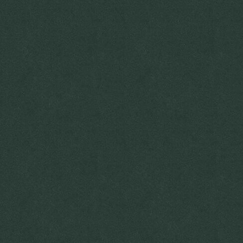 طلاء السيارات لفورد SH ، Medium Willow Metallic ، 11oz Aerosol in Saudi Arabia