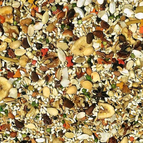 Volkman Avian Science Super African Grey Bird Food 4lb in Kuwait