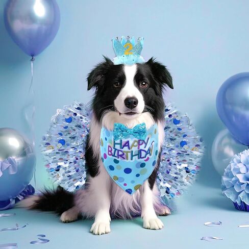 Hoyuwak Dog Birthday Party Supplies Girl Dog Bandana Bandana Tutu set لطيف كلب عيد ميلاد قبعة القوس مجموعة الكلاب الصغيرة المتوسطة الكبيرة in Kuwait